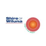 logo mod wiluna Mining Solutions 117