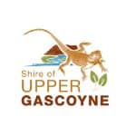 logo uppergas Mining Solutions 123